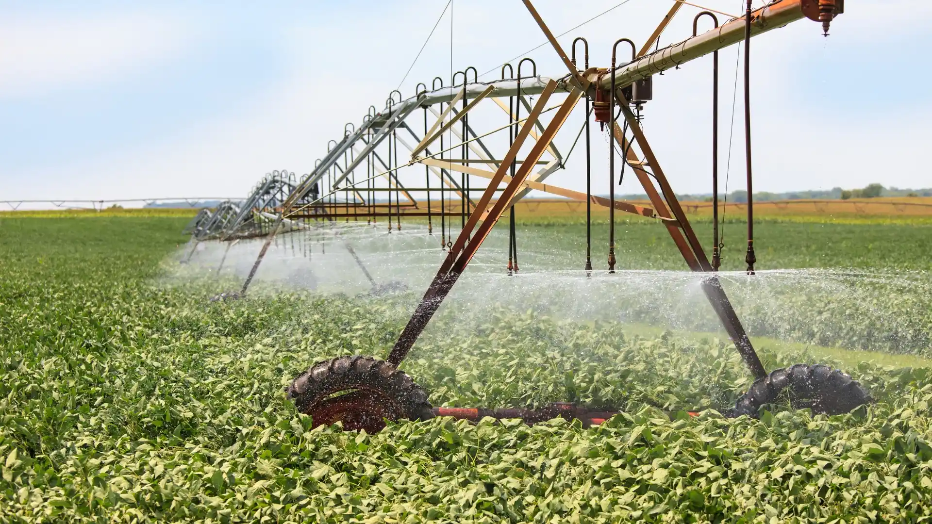 Agricultura de irigații