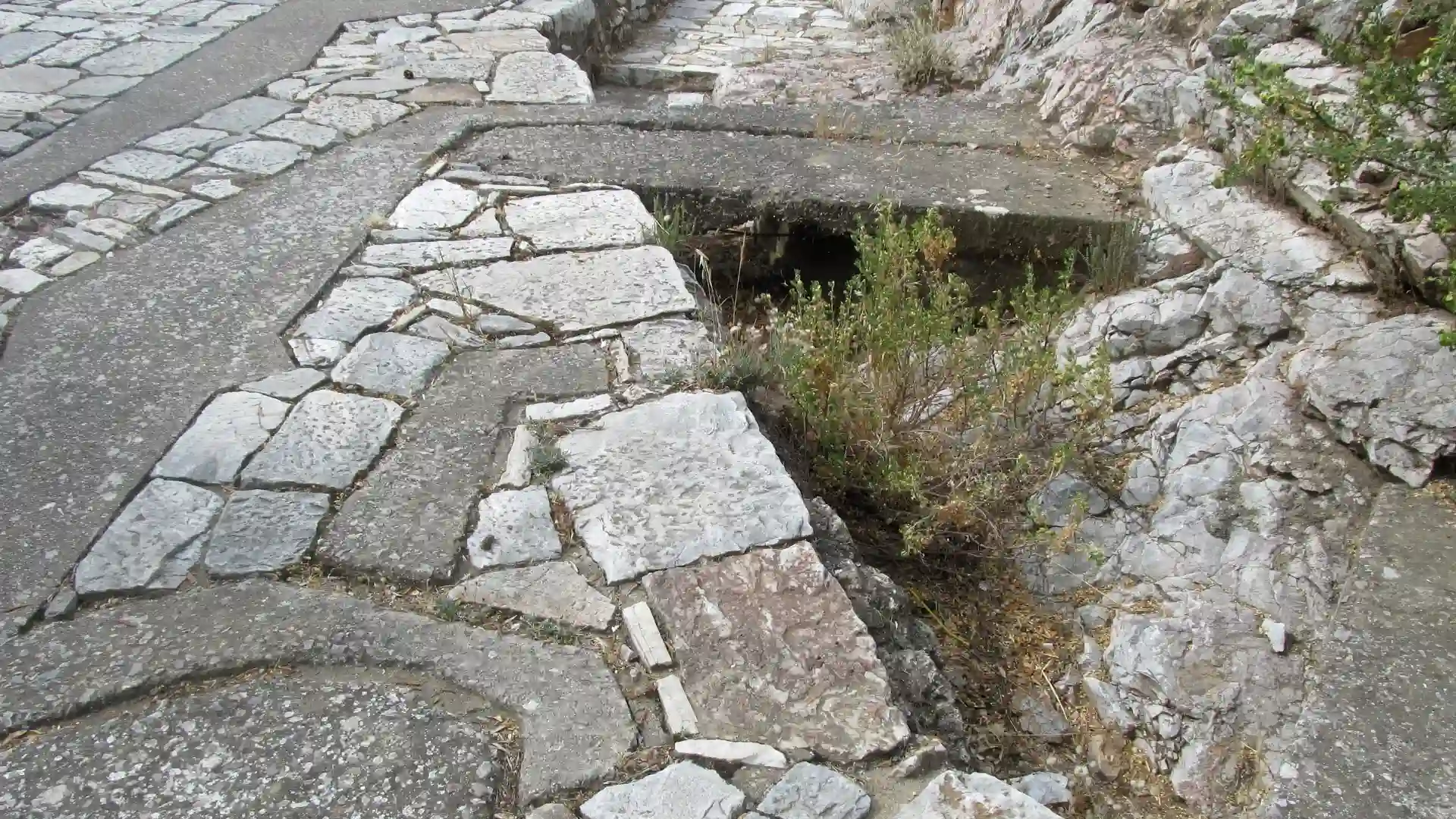 Santul filtrar imagine